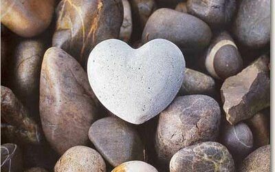 TECNICHE DI COUNSELING PER I SERVIZI 06