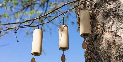 Suoni che abitano il bosco: educare con la musica nella natura